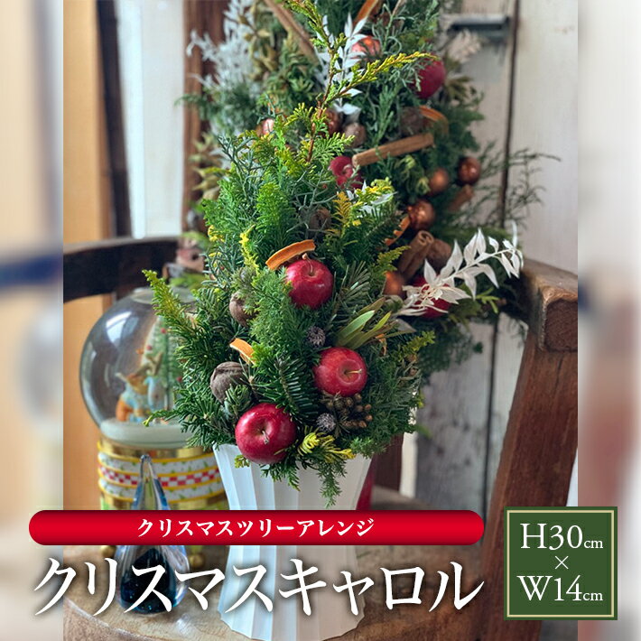 【ふるさと納税】クリスマスツリーアレンジ 2025「クリスマスキャロル」 2025年12月1日〜12月20日にお届け ※着日指定不可 東北 山形県 酒田市 庄内 通年 飾り 玄関 室内 リビング ドライ 香り おうち時間 観葉植物 インテリアグリーン LotusGarden