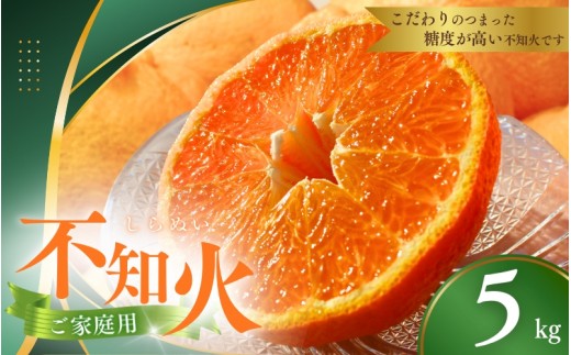【先行予約】ご家庭用 不知火 5kg 【M～4Lのサイズおまかせ】【2027年1月下旬から2027年4月上旬頃に順次発送】＜味好農園＞/不知火 デコポン 蜜柑 みかん 柑橘 果物 フルーツ 【agy010-c-5】