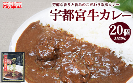 宇都宮牛カレー 200g×20個セット