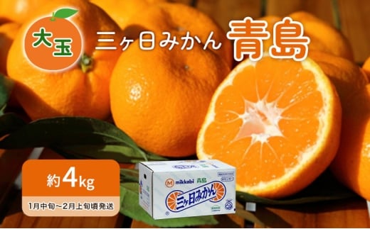 先行予約 青島みかん 大玉 約4kg 三ヶ日みかん 果物 くだもの フルーツ 旬の果物 旬のフルーツ みかん 蜜柑 ミカン 三ヶ日 青島 柑橘 柑橘類 静岡 静岡県 浜松市 [№5360-1064]