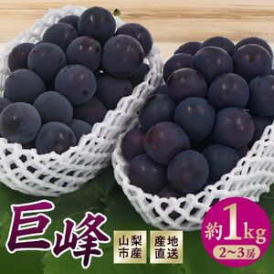 【2026年先行予約】山梨市産　巨峰　約1kg(2～3房)【配送不可地域：離島】【1706556】
