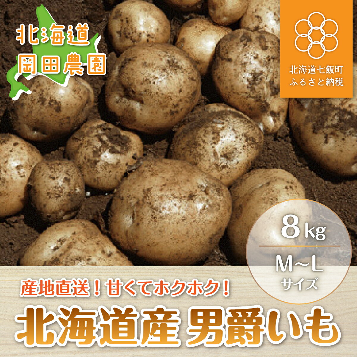 【ふるさと納税】【先行予約 令和8年10月発送】北海道七飯町産 150年続く岡田農園の男爵いも 8kg 甘くてホクホク じゃがいも 産地直送 旬 秋