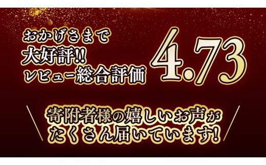 特製 ローストビーフ 600g (300g×2P) ソース付き 黒毛和牛 いわて牛 ブランド牛 国産 和牛 牛肉 肉 ローストビーフ 日本一 全国最多 贈答 冷凍 小分け 良質の脂 上質な牛肉 モモ肉