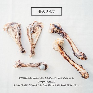 愛犬用 天然鹿 レッグボーン 3本 セット  ( 鹿肉 ジャーキー おやつ おもちゃ ペット ドッグフード ペットフード 餌 エサ 犬 鹿 肉 国産 健康 ジビエ 京都 )