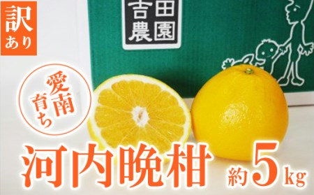訳あり 河内晩柑 愛南ゴールド 5kg 河内晩柑 吉田農園