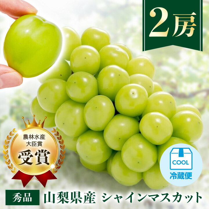 【ふるさと納税】【2025年先行予約】【農林水産大臣賞受賞!!】シャインマスカット 2房 1kg以上_ ふるさと納税 ふるさと フルーツ ブドウ ぶどう 葡萄 果物 くだもの マスカット 山梨県 山梨市 山梨 人気 美味しい 送料無料【配送不可地域：離島】【1143545】