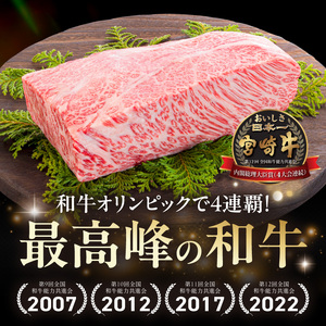 宮崎牛モモ・ウデスライス400g_11-2604 牛肉 A4ランク4等級 国産ブランド牛 牛もも肉 牛うで肉