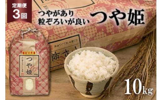 
                  3回 定期便 米 宮城県産 つや姫 10kg ×3回 総計 30kg [菊武商店 宮城県 気仙沼市 20564926] お米 こめ コメ 白米 精米 ブランド米 ご飯 ごはん 小分け 家庭用 3ヶ月
                