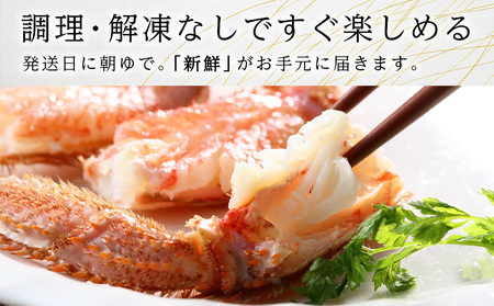 北海道産【朝ゆで】毛ガニ（450g前後）1尾 期間限定！≪かにのマルマサ≫