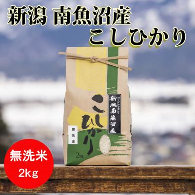 ふるさと納税 南魚沼市 【令和7年産 】南魚沼産こしひかり(無洗米)【2kg】