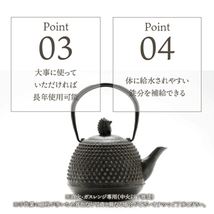  南部鉄器 鉄瓶 ハリネズミ 0.9L【村上 怜 作】 伝統工芸品 [Y0100]