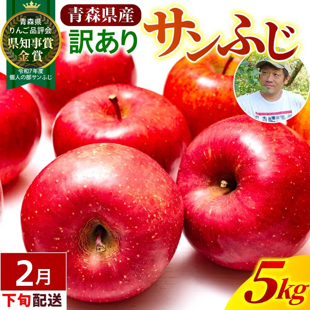 【2027年2月下旬発送】【訳あり】 りんご 約5kg 青森県産 サンふじ 家庭用 りんご