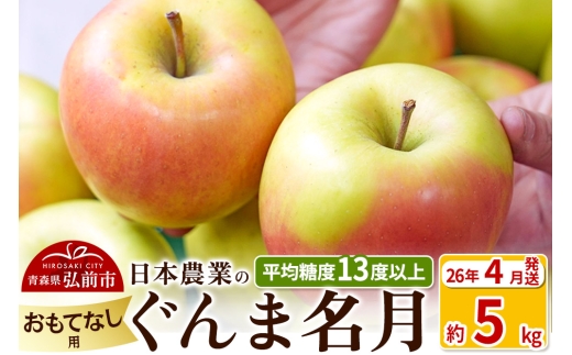 【26年4月発送】りんご 平均糖度13度以上！ ぐんま名月 約5kg おもてなし用 CA貯蔵 クール便 青森 果物 フルーツ 林檎 リンゴ くだもの