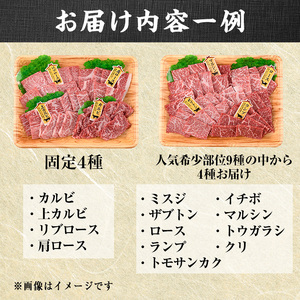 ＜訳あり＞おおいた和牛 希少部位 焼肉 セット (8種・合計800g) 食べ比べ 焼肉セット やきにく 焼き肉 国産 牛肉 肉 和牛 カルビ ロース ミスジ ザブトン ランプ トモサンカク イチボ マ