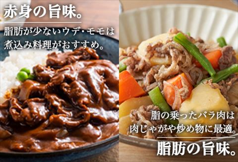 佐賀牛切り落とし 500g (佐賀牛ウデ モモ バラ肉のいずれか) すき焼き しゃぶしゃぶ ギフト「2023年 令和5年」