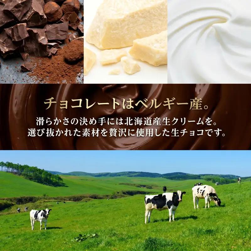 生チョコ Lサイズ 生チョコ生みの親 監修 チョコレート