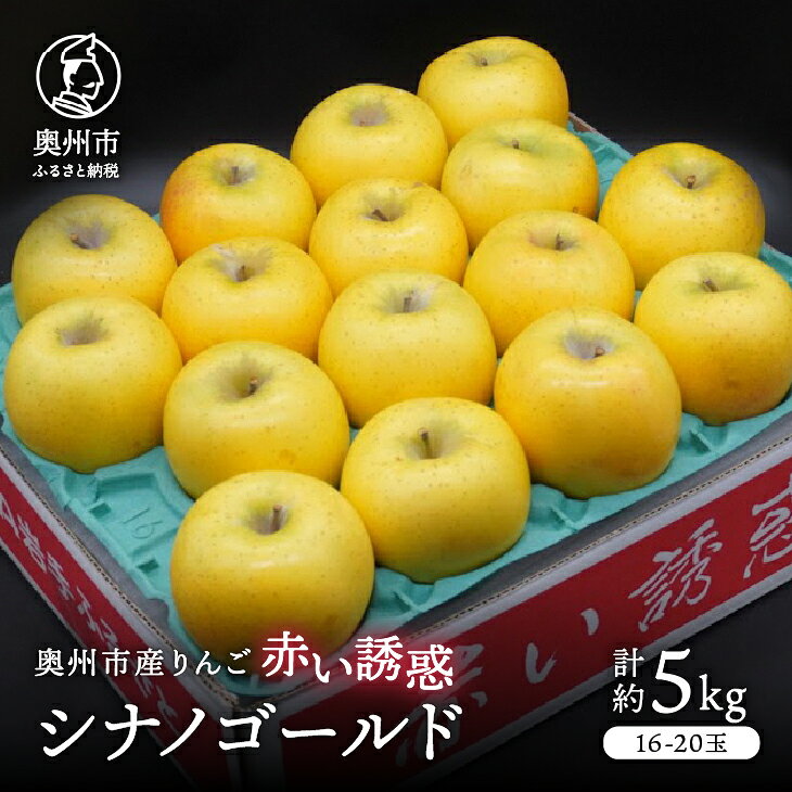 【ふるさと納税】 奥州市産りんご 赤い誘惑「シナノゴールド」約5kg 16-20玉 1箱 秀品 林檎 りんご シナノゴールド フルーツ 果物 期間限定 数量限定 自宅用 家庭用 贈答 ギフト [AQ084]