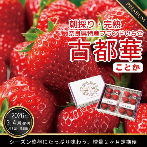 【ふるさと納税】【3・4月増量発送】奈良県特産 高級ブランドいちご「古都華」旬の２ヶ月定期便 // いちご イチゴ 古都華 フルーツ 果物 旬 限定 ブランド 定期便