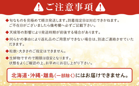 【先行予約 2026年1月以降発送】ふくおかエコ農産物認証!! あまおう 約1140g 約285g×4パック ＜筑前町＞