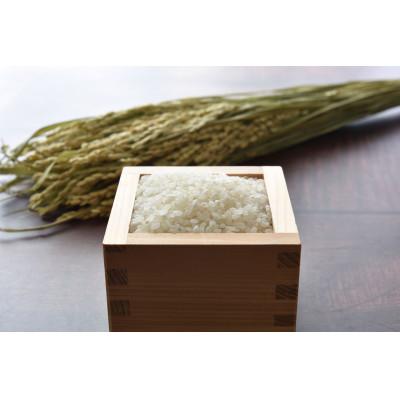 ふるさと納税 美唄市 【特Aランク】令和7年北海道産ななつぼし10kg(5kg×2袋) |  | 01