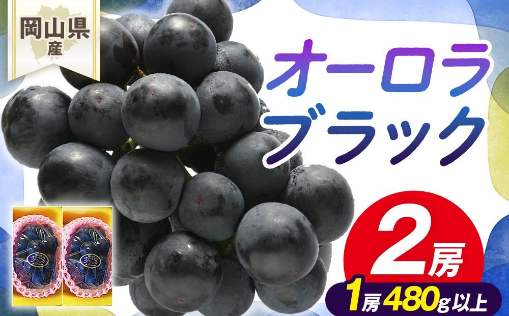 岡山県産　オーロラブラック2房(1房480g以上)　化粧箱入り