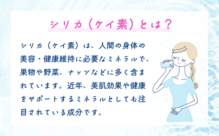 【数量限定】【3ヶ月定期便】天然 水 シリカ 525ml × 40本 ＜シリカちゃん〜玖珠の天然水〜＞ ラベルレス 天然シリカ 水 シリカ水 ミネラルウォーター 国産 保存可能 水 防災 備蓄