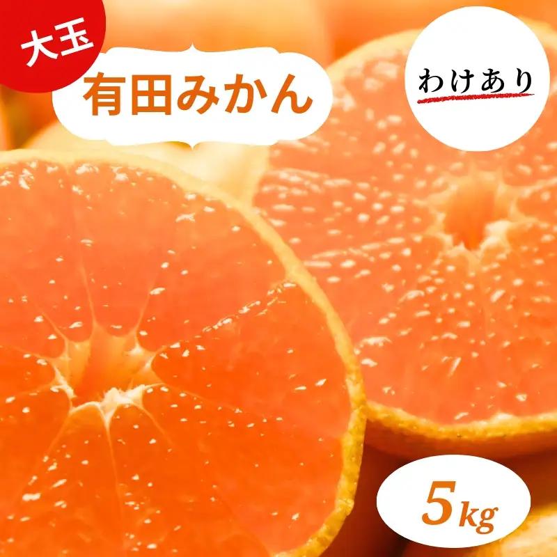 和歌山県産 有田みかん 大玉5kg 2L～3L 訳あり ※2026年10月中旬-2026年1月中旬頃に順次発送予定 / ミカン 有田みかん 和歌山 有田 訳あり 【smt001A】