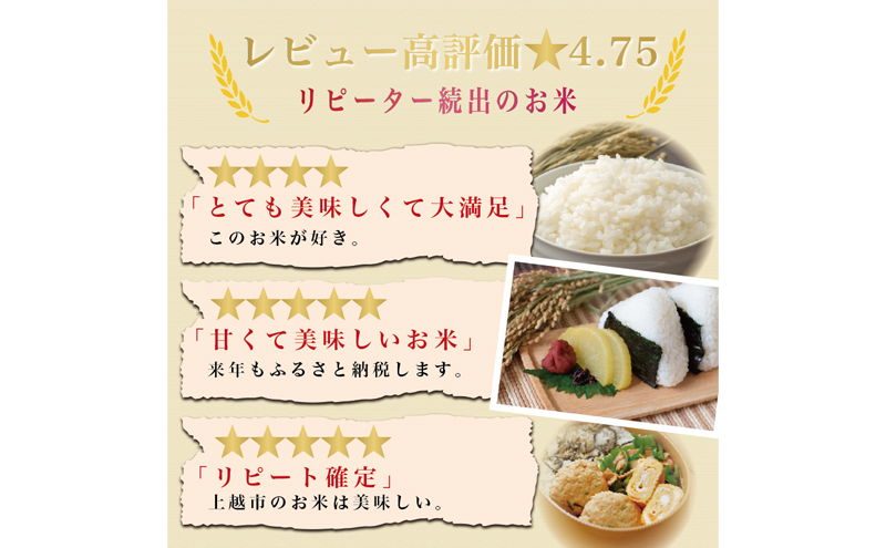 先行予約【10月より順次出荷】令和8年産 新潟県 上越市産 にじのきらめき 10kg（5kg×2袋） 白米 精米 送料無料 虹のきらめき 塩崎農場