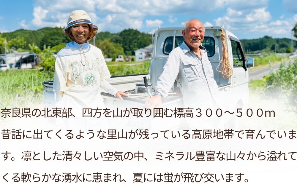 特別栽培米 ＜令和7年産 玄米 2kg＞ / ふるさと納税 栽培期間