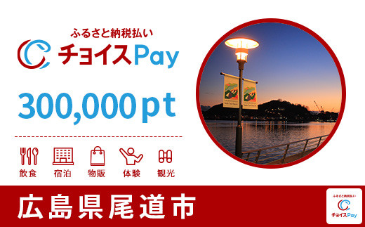 
尾道市チョイスPay 300,000pt（1pt＝1円）【会員限定のお礼の品】
