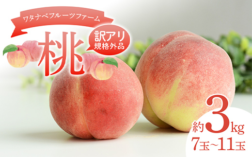 
                  【訳アリ規格外品】ワタナベフルーツファームの桃 約3kg （7～11玉） もも モモ フルーツ 果物 F6Q-521
                