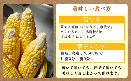 とうもろこし 先行予約 甘々娘 12～14本 幻のとうもろこし 朝どれ 甘い 野菜 夏野菜 旬 夏 高糖度 産地直送 旬の野菜 季節の野菜 新鮮野菜 おやつ コーン 先行 予約 2026 2026年 