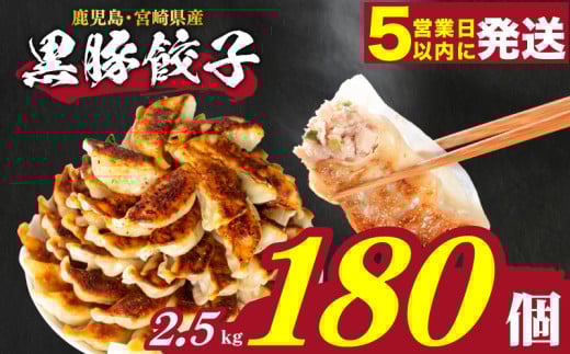 【スピード発送】 訳あり 黒豚餃子 180個 12個×15パック 冷凍 小分け たれ付き 大容量 ぎょうざ ギョウザ ギョーザ