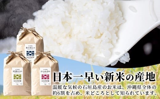 【定期便 3回】3ヶ月連続でお届け 星の美しゃ・於茂登のひかり・ひとめぼれ 5kg が毎月交互に届く(合計15kg)  石垣島産 【 日本一早い新米の産地 石垣 ふるさと納税 沖縄県 石垣市 石垣島 