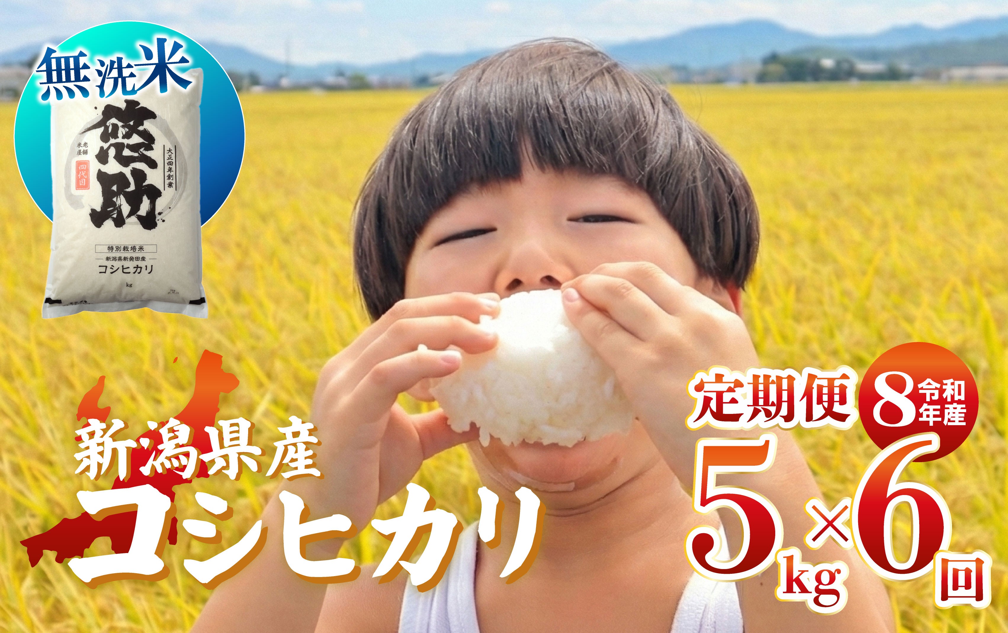 
                  先行予約 令和8年産 無洗米 コシヒカリ 定期便 5kg 6回 30kg 特別栽培米 コンテスト 入賞 【 6か月 コンテスト 入賞米 米 おこめ お米 ブランド米 ご飯 ごはん オニギリ お弁当 kome 送料無料 数量限定 農家直送 産地直送 国産 川瀬農園 四代目 悠助 新潟 新発田 kwsMKH005_202609  】　
                
