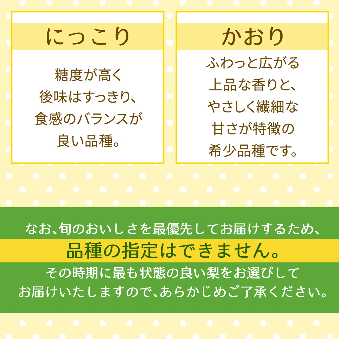 【定期便】3か月連続でお届け！ 旬の梨 おまかせ 約3kg（茨城県共通返礼品 [梨]：大子町産） 高糖度 ギフト 贈り物 プレゼント フルーツ なし ナシ 和梨  梨 果実 旬のフルーツ お取り寄せ 