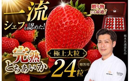 栃木県産 完熟とちあいか  ギフトボックス 《大粒極上》 贈答用 ボックス（24粒）　栃木県 下野市 送料無料