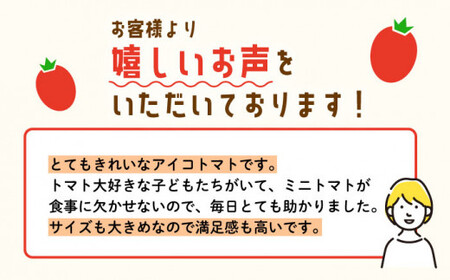 【先行予約・12月発送開始】「甘くてジューシー」ミニトマト アイコ 1.0kg【C&T farm】[QBG001]