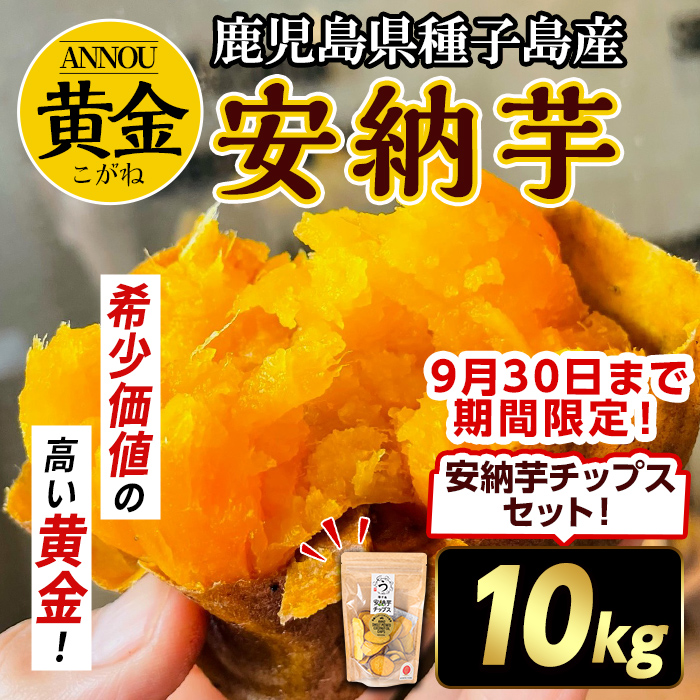 n083 ＜期間・数量限定セット！先行予約受付中！2025年9月下旬頃から12月中の発送予定＞種子島産 安納芋＜黄金＞(10kg)＆安納芋チップス1袋セット 国産 安納芋 黄金 こがね コガネ 種子島 芋 イモ さつま芋 安納いも 野菜 いも さつまいも 【うずえ屋】