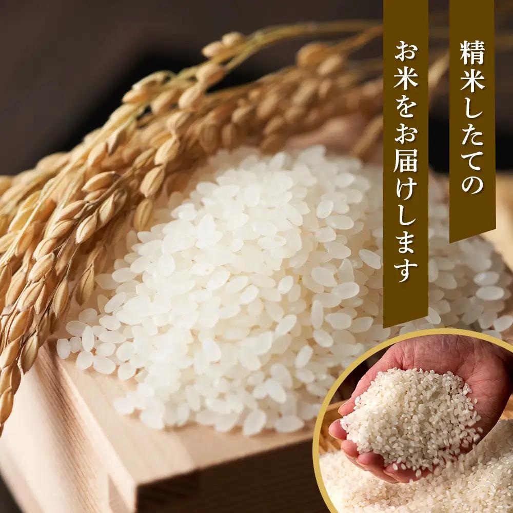 【ふるなびWEEK対象】【特Aランク】令和7年 北海道産ゆめぴりか 白米 10kg(5kg×2袋) | ゆめぴりか_04806
