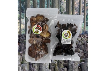 耶馬溪乾し椎茸と木耳（きくらげ）セット | 干し椎茸 干ししいたけ 干しシイタケ 乾燥椎茸 乾燥しいたけ 黒きくらげ キクラゲ きのこ 乾物 中華食材 炒め物 おかず 大分県 中津市