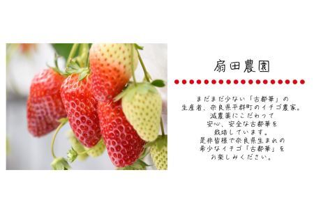 平群の古都華 冷凍いちご ミックスサイズ 約2kg | フルーツ 果物 くだもの いちご 苺 イチゴ 古都華 ことか 冷凍 ミックス スムージー  奈良県 平群町 扇田農園