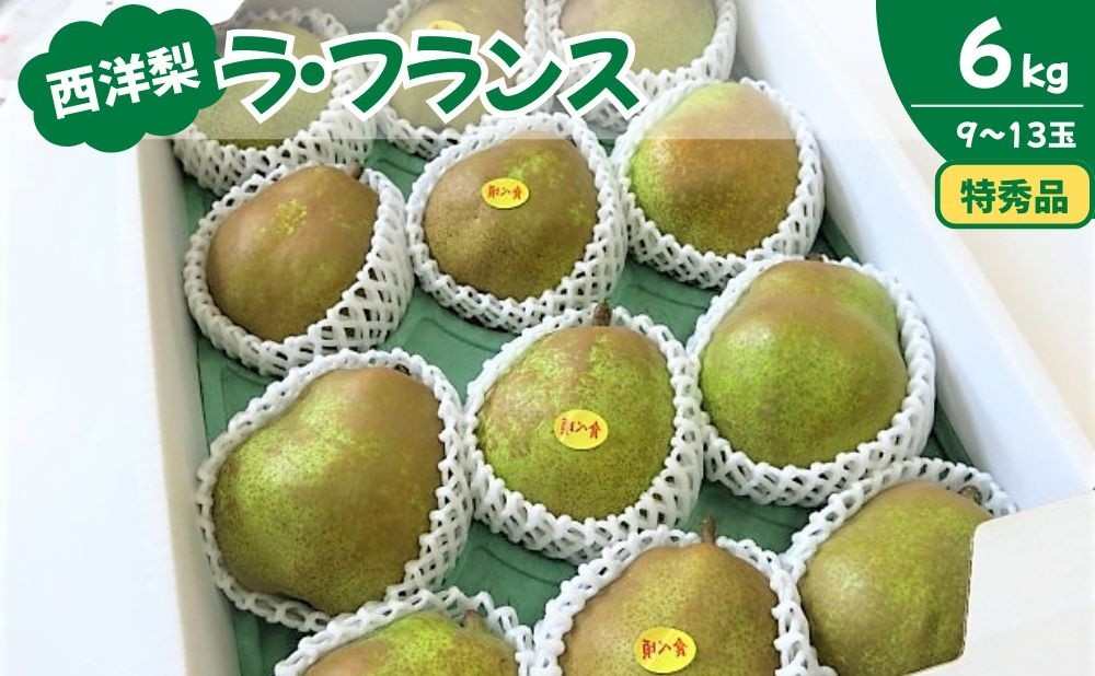 
                  西洋梨（ラフランス）６ｋｇ　贈答用　0075-2621
                