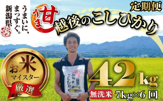 
            【令和6年産】 新米 無洗米 コシヒカリ 定期便 7kg 6ヵ月 42kg 甘うま越後のこしひかり 越後 えちご  特別栽培米 新潟 コメ こめ お米 米 しんまい 新潟県 新潟米 新発田市 新発田産 斗伸
          