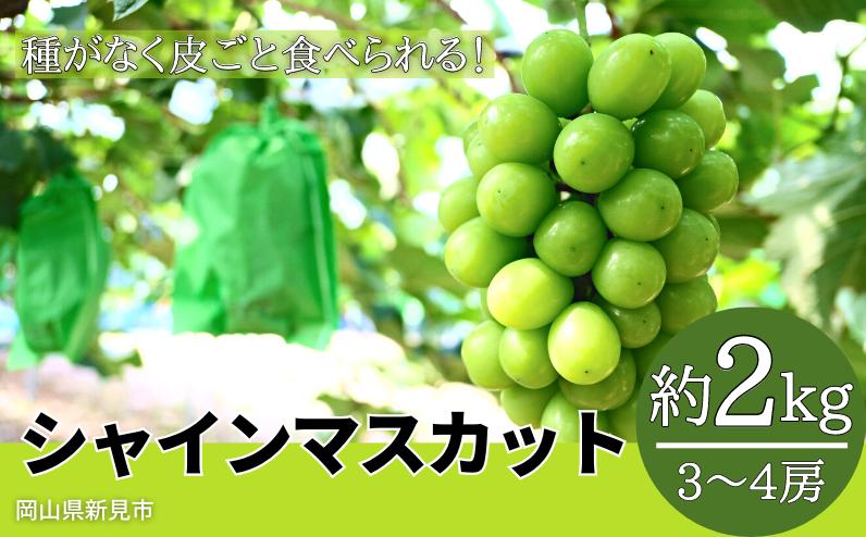 
            林農園 シャインマスカット 約2kg 3～4房 【先行予約 2026年10月上旬から順次発送】
          