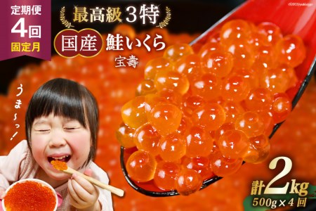 【TVで紹介！】定期便 4回 最高級3特 国産 味付 いくら 宝壽 醤油漬 500g×4回(2・5・8・11月出荷) 総計2kg / かわむら家 / 宮城県 気仙沼市 [20561833] ◎