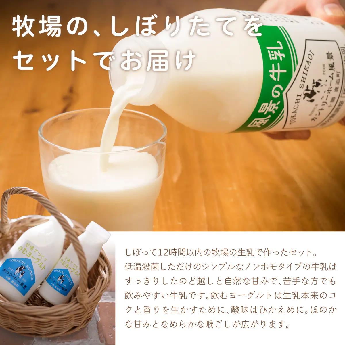 【定期3ヶ月】のむヨーグルト900g 風景の牛乳900ml 各1本 SKB092