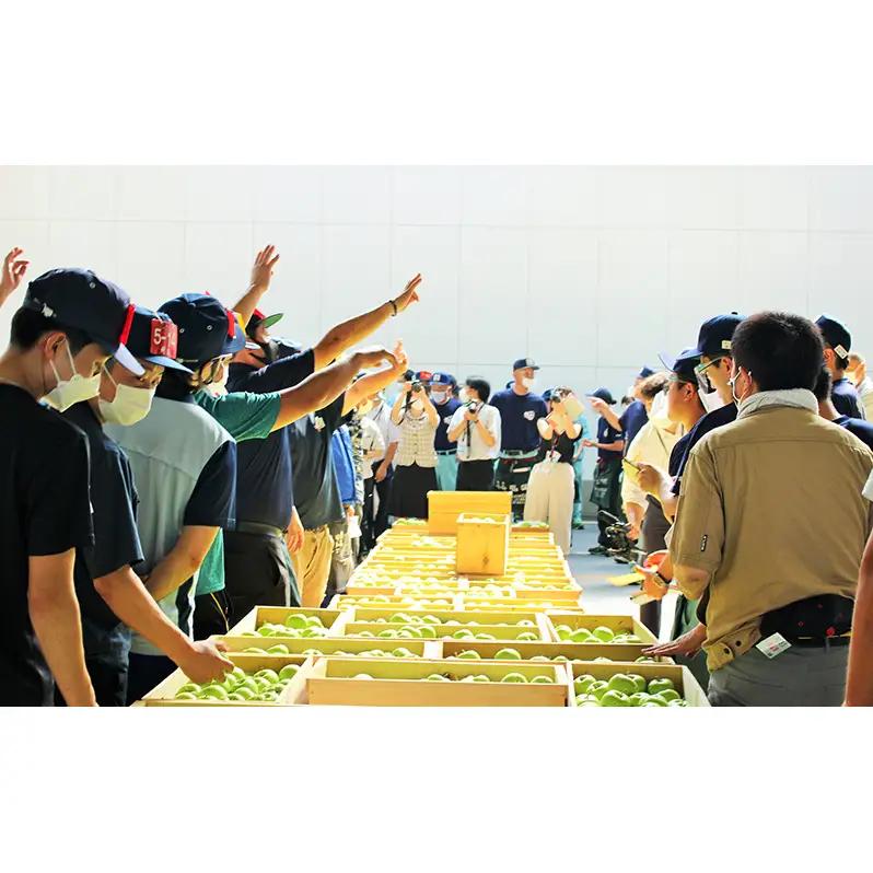 【1月発送】家庭用 サンふじ 約3kg 果物類 フルーツ 林檎 リンゴ 鶴田町 青森県 おやつ デザート