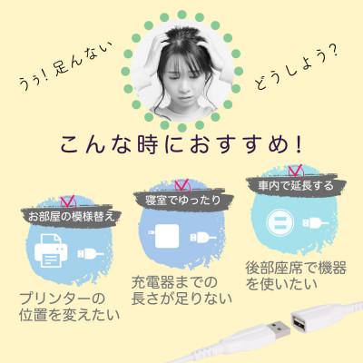 ふるさと納税 海老名市 (オウルテック) 手持ちのUSBケーブルを手軽に延長 断線に強いUSB延長ケーブル ホワイト 2m |  | 02