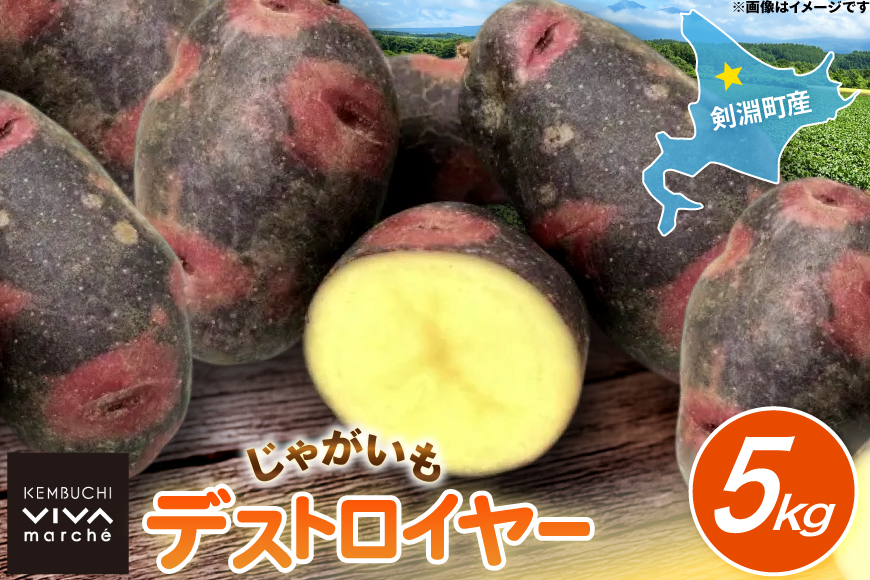 じゃがいも デストロイヤー 5kg [けんぶちVIVAマルシェ 北海道 剣淵町 14656393] ジャガイモ 芋 いも ポテト 野菜 秋野菜 秋 常備野菜 カレー シチュー ポテトサラダ 肉じゃが